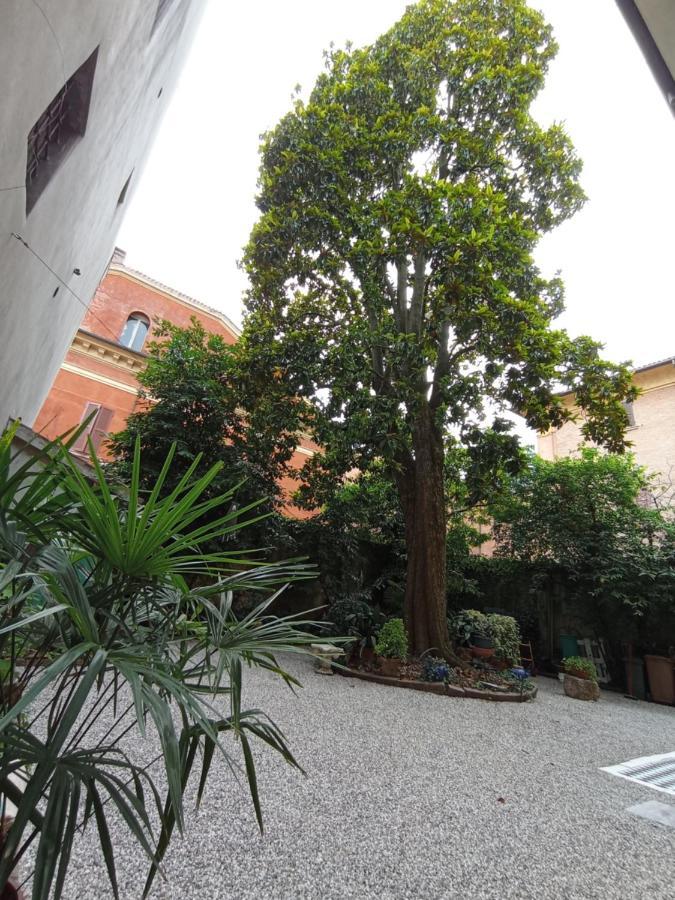 Magnolia Garden Apartment แฟร์รารา ภายนอก รูปภาพ